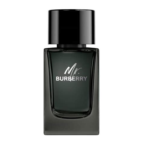 mr burberry 100 ml edp